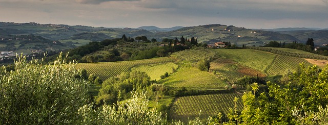 Landscape view of hills in Tuscany